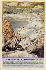 Click here to order this Dimetrodon & Edaphosaurus dinosaur poster, to zoom in, to read text, or for more information.