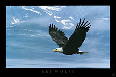 Please click here for more information on ordering this Eagle poster.