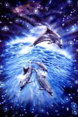 Please click here for more information on ordering this dolphin poster.