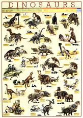 Click here to order this dinosaur poster, to zoom in, to read text, or for more information.