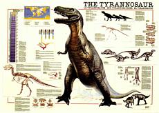 Click here to order this Tyrannosaur Chart dinosaur poster, to zoom in, to read text, or for more information.