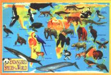 Click here to order the Endangered Species of the World poster chart.