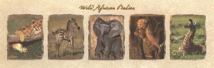 Click here to order the Wild African Babies poster, or to view more baby animal images.