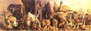 Please click here for more information on the Noah's Ark Animal Kingdom poster.