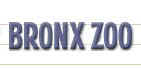 Click here to go to New York's Bronx Zoo. Great Blue Marble has all the latest zoo news from zoos around the world.