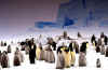 Click on the Emperor Penguin colony images for a larger image. The Emperor Penguin is the largest species in the penguin family. Emperor penguins reside in Antarctica.