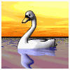 Graceful as a swan.