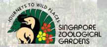 Singapore Zoological Gardens - Featured World Zoo.