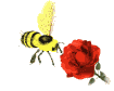 Animated honey bee and flower. The honeybee's food consists of nectar, and the pollen from flowers and plants.
