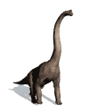 The Brachiosaur is a member of the Brachiosaurus genus, and one of the largest animals ever to walk on Earth. The Great Blue Marble Dinosaur Den features dinosaur images, dinosaur animation, dinosaur cartoons, dinosaur facts, dinosaur sounds, and dinosaur posters,.