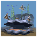 Please click on the Giant Clam to go to Cartoon Sea.