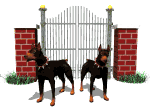 Dobermans guarding gate entrance.Great Blue Marble has people and animal animations and cartoons including animated dobermans.
