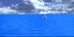 The Great Blue Marble Animal Kingdom has animal animations, animal images, animal cartoons, animal facts, and animal sounds, including the amazing dolphins.