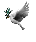 A dove has historically symbolized peace.