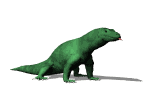 Hi. I am a  Komodo dragon lizard.