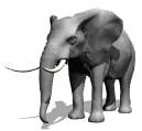 Hi. I am an elephant. I am the largest living land animal. I can weigh up to six tons.