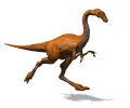 The Gallimimus could run very fast, and had ostrich-like qualities.The Great Blue Marble Dinosaur Den features dinosaur images, dinosaur animation, dinosaur cartoons, dinosaur facts, dinosaur sounds, and dinosaur posters,.