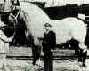 Click here for a large image of the largest horse ever recorded. The Brooklyn Supreme, a Belgian horse that lived in the 1930s, was 19.2 hands high, and weighed 3,200 pounds.