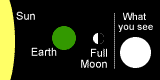 Great Blue Marble has space animations, including an animated moon phase chart.