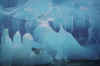 Click on the penguins for a large image.