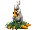 I am a rabbit. I live all over the world. I love carrots. Do you eat carrots?