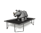 Remember to never let a rhinoceros jump on your trampoline!
