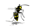 Animated wasp hovering. The sting of the female and worker wasps is mortal or paralyzing to other insects.
