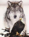 Click on the wolf / eagle for a large image.
