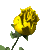 Animated yellow rose. Our garden features animated flowers including animated roses and animated sunflowers.
