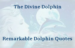 Many famous people have studied the dolphin and remarked on their amazing human-like and spiritual qualities. Great Blue Marble has dolphin images, dolphin animation, and dolphin facts.