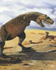 Human Teeth Reveal History of Catastrophes