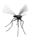 Animated mosquito. The mosquito is a two-winged fly of the family Culicidae.