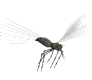 Animated mosquito.The female mosquito has a needlelike mouth for puncturing the skin of animals to suck blood.
